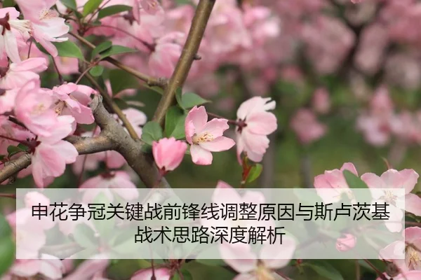 申花争冠关键战前锋线调整原因与斯卢茨基战术思路深度解析