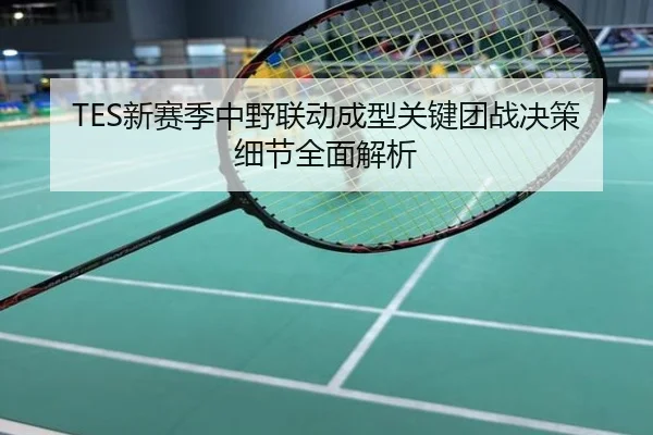 TES新赛季中野联动成型关键团战决策细节全面解析
